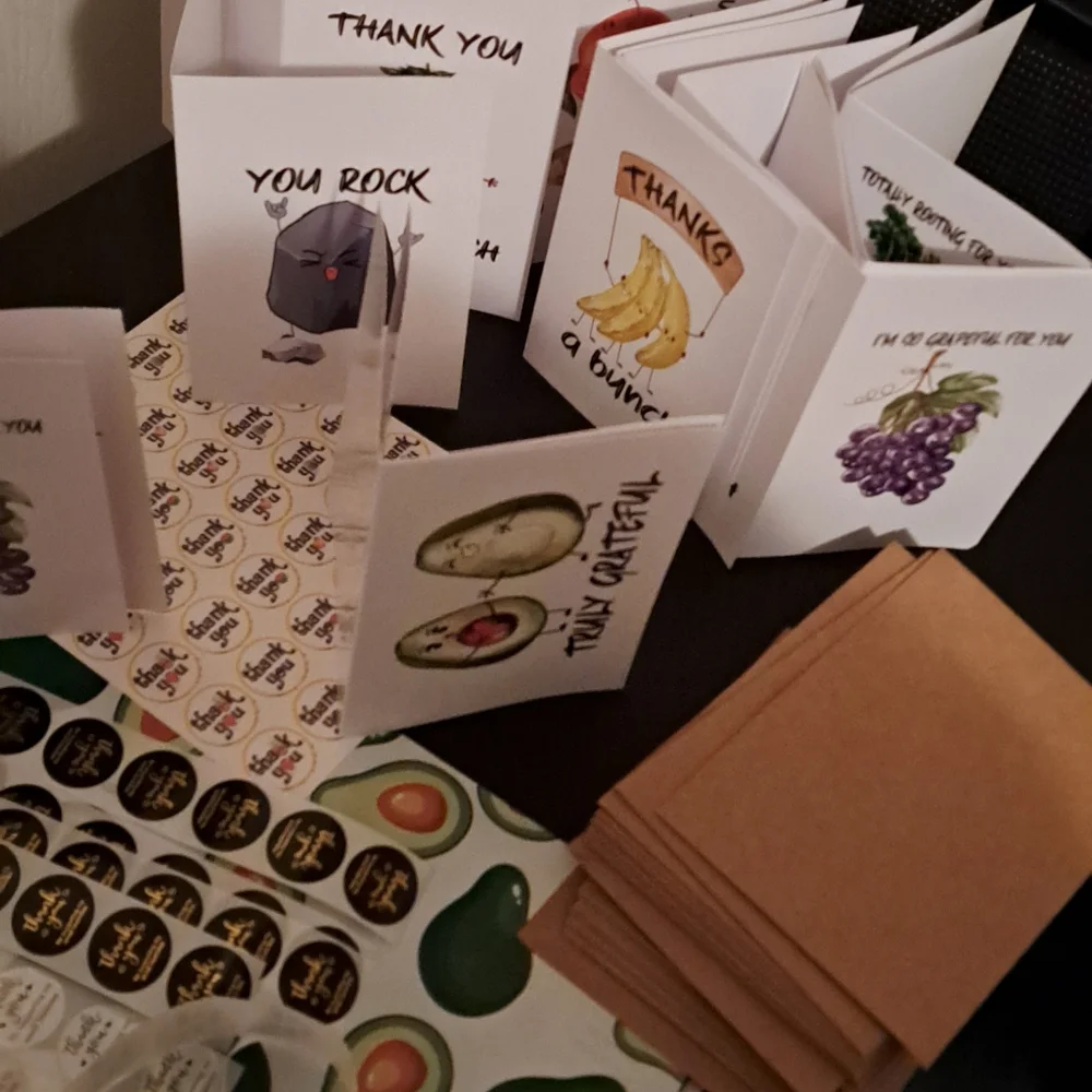 350 pc Shipping bundle-30 10×13 mailers plus 30 cards w/envelopes, 260 s…